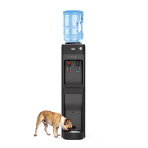 Brio Top Load Water Cooler & Dispenser with Built-In Pet Station